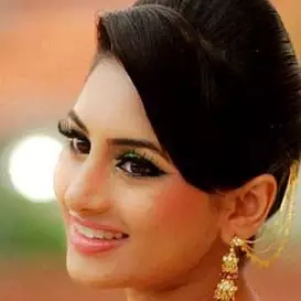 Sheshadrie net worth