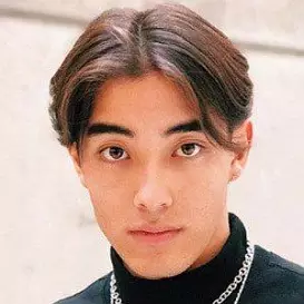 Neil Shibata net worth