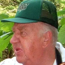 Alex Shigo net worth