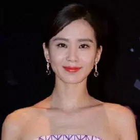 Liu Shishi net worth