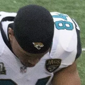 Cecil Shorts III net worth