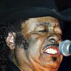 Guitar Shorty net worth