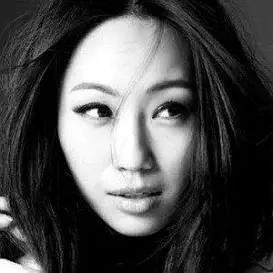 Oon Shu An net worth