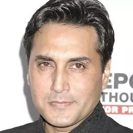Adnan Siddiqui net worth