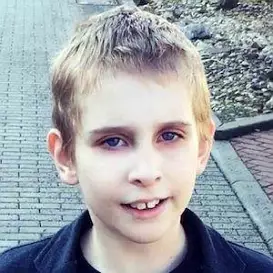 Mishovy Silenosti net worth