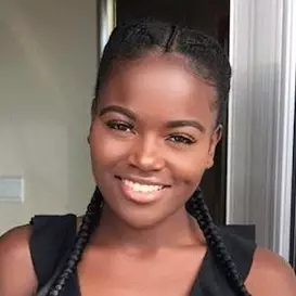 Sherrie Silver net worth