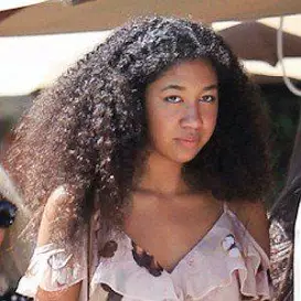 Aoki Lee Simmons net worth