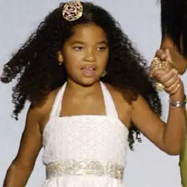 Ming Lee Simmons net worth