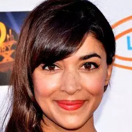 Hannah Simone net worth