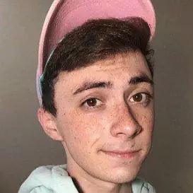 SimpleStrider net worth