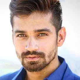 Vishal Singh net worth