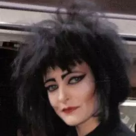 Siouxsie Sioux net worth