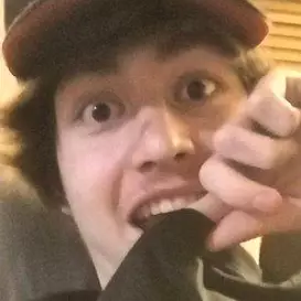 Sir Skitzo net worth