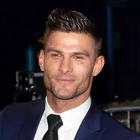 Aljaz Skorjanec net worth