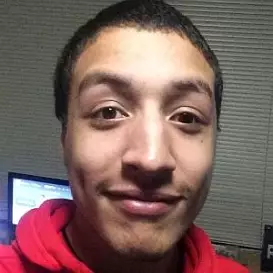 SkywardWing net worth