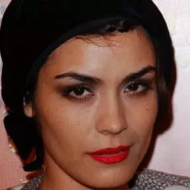 Shannyn Sossamon net worth