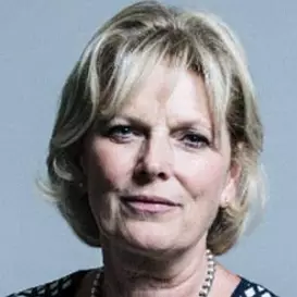 Anna Soubry net worth