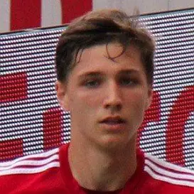 Niklas Stark net worth