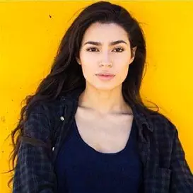 Alex Steele net worth