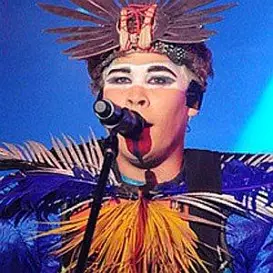 Luke Steele net worth