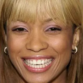 Karrine Steffans net worth