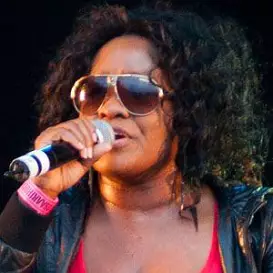 Tanya Stephens net worth