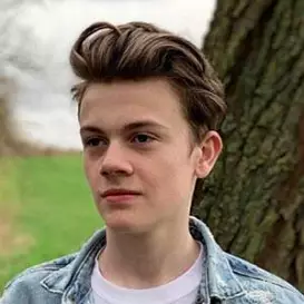 Harry Still net worth