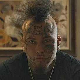 Stitches net worth