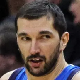 Peja Stojakovic net worth