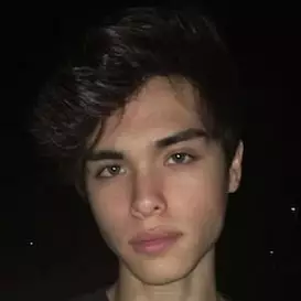 Alex Stokes net worth