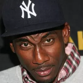 Amare Stoudemire net worth