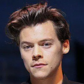 Harry Styles net worth