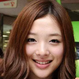 Sulli net worth