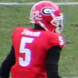 Damian Swann net worth