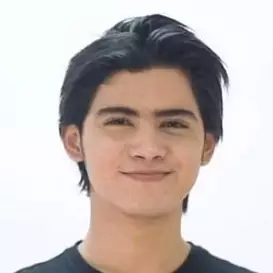 Aliando Syarief net worth