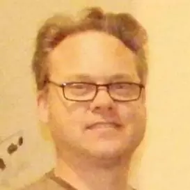 Taofledermaus net worth