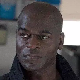 Hisham Tawfiq net worth