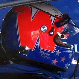 Wayne Taylor net worth