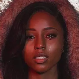 TheOfficialAnn net worth