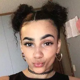 Sybrenna Tillman net worth