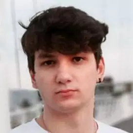 Sebastian Todor net worth