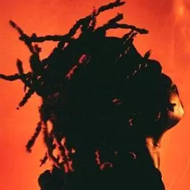 Don Toliver net worth