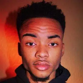 Ali Tomineek net worth