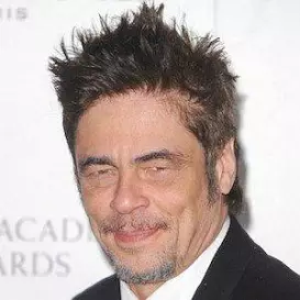 Benicio Del Toro net worth