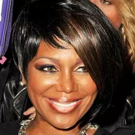 Michel'le Toussaint net worth