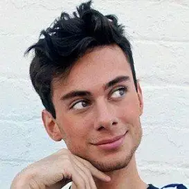 Alan Tsibulya net worth