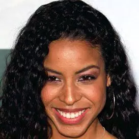 Lisa Tucker net worth