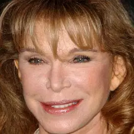 Ann Turkel net worth