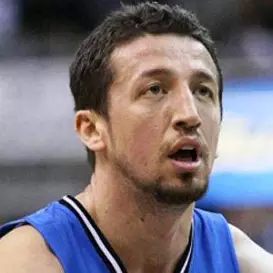 Hedo Turkoglu net worth