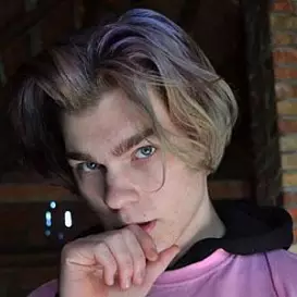 Ultras Plays net worth